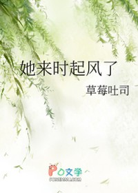 她来时起风了